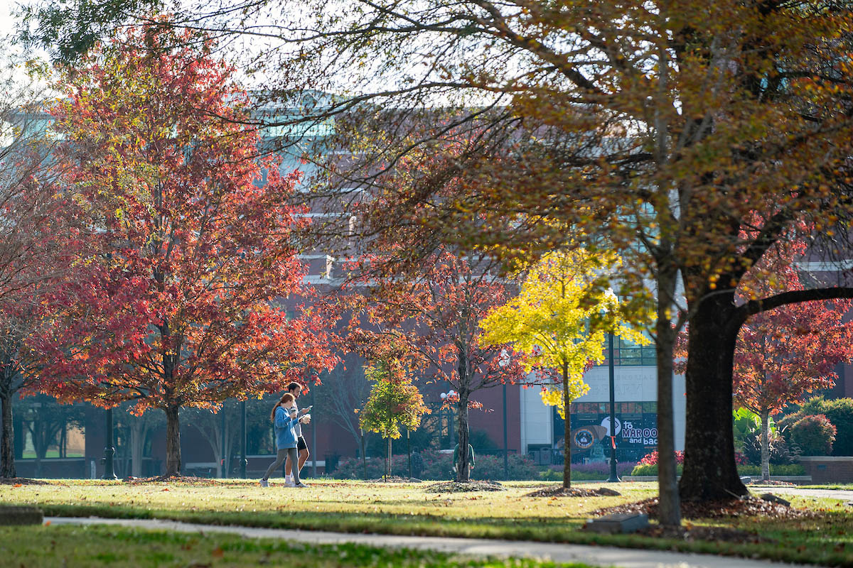 Students walking under trees in the fall
